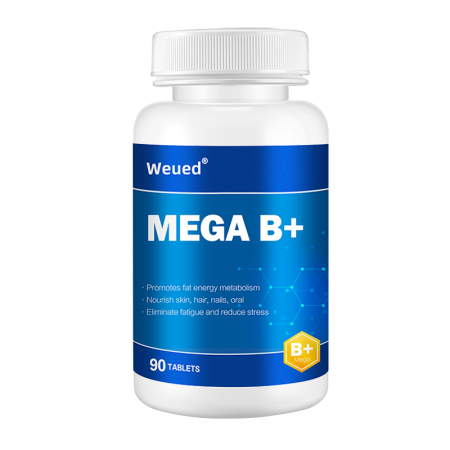 MEGA B+ 